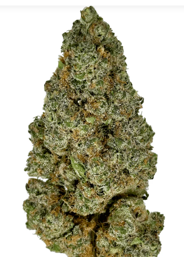 Strawberry Cough - Hybrid