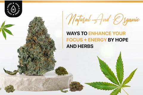 Natural And Organic Ways To Enhance Your Focus + Energy By Hope And Herbs