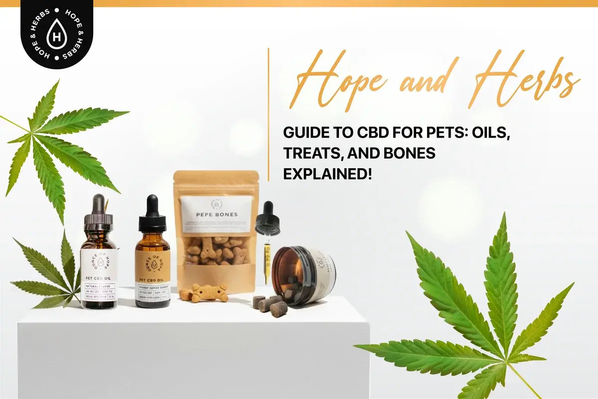 A Hope and Herbs Guide to CBD for Pets: Oils, Treats, and Bones Explained