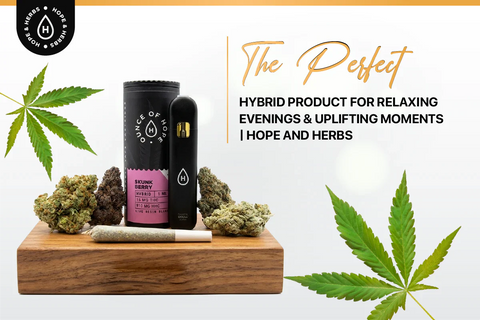 The Perfect Hybrid Product for Relaxing Evenings and Uplifting Moments | Hope and Herbs