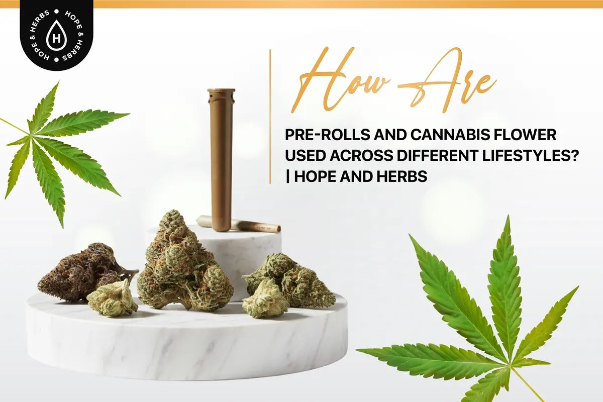 How Are Pre-Rolls and Cannabis Flower Used Across Different Lifestyles? | Hope and Herbs