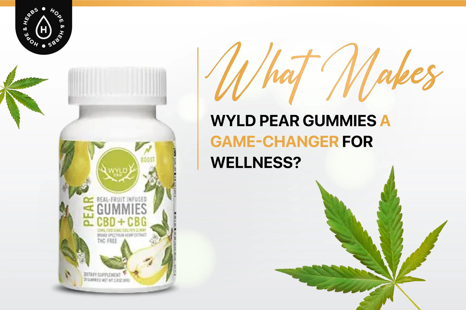 What Makes WYLD Pear Gummies a Game-Changer for Wellness ? | Hope and Herbs