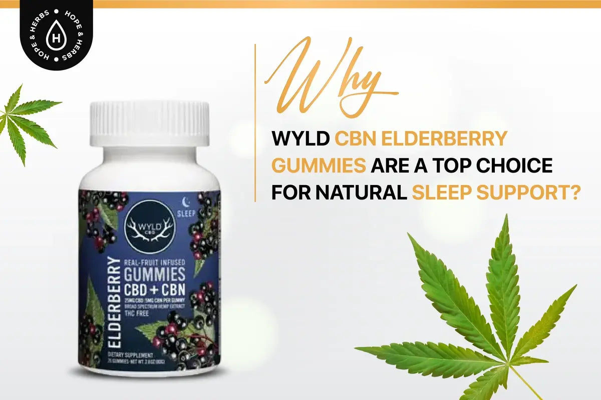 Why WYLD CBN Elderberry Gummies Are a Top Choice for Natural Sleep Support? | Hope and Herbs