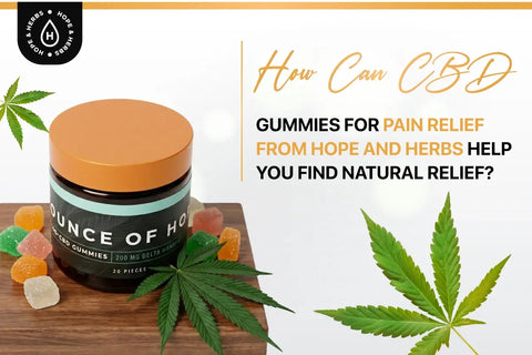 How Can CBD Gummies for Pain Relief from Hope and Herbs Help You Find Natural Relief?