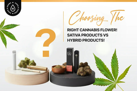 Sativa Products vs. Hybrid Products: Choosing the Right Cannabis Flower