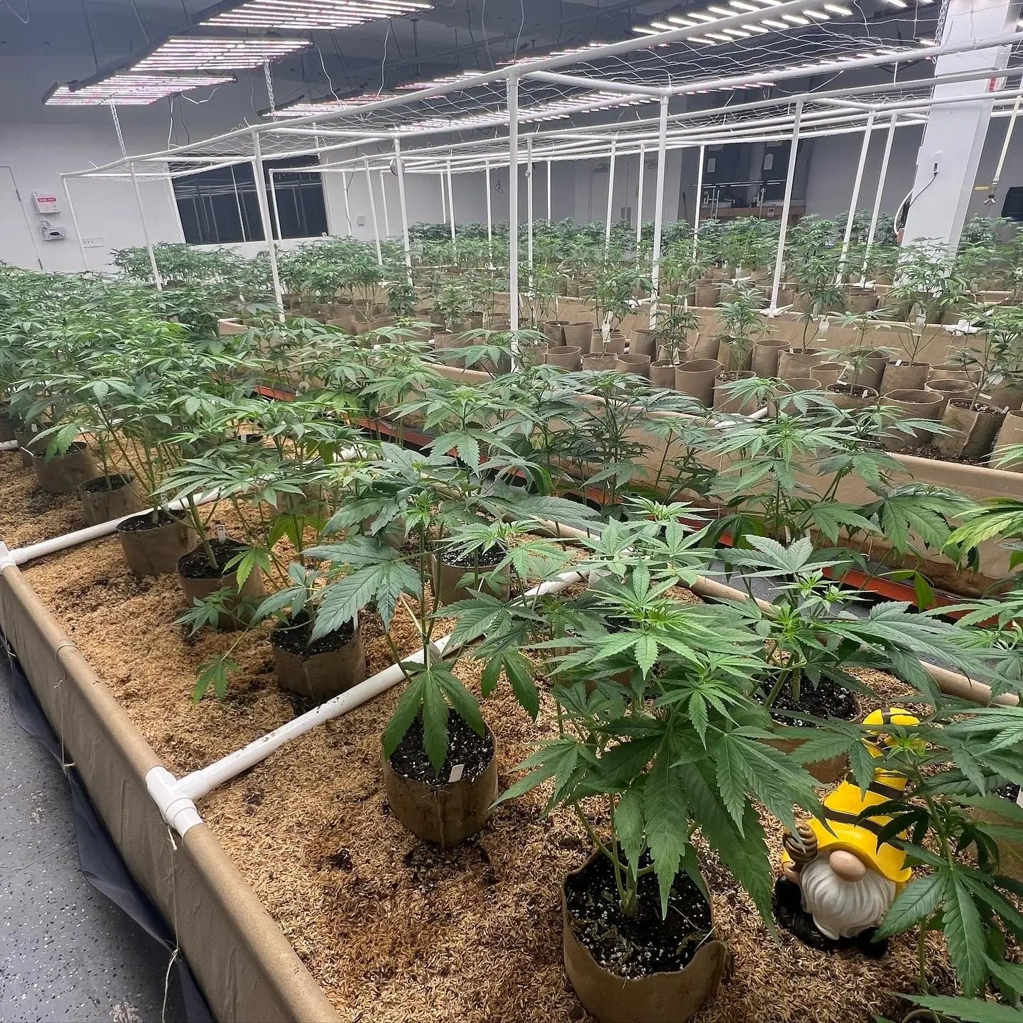 49F04C30-9327-41C9-97B5-006F00971C8C_1_1