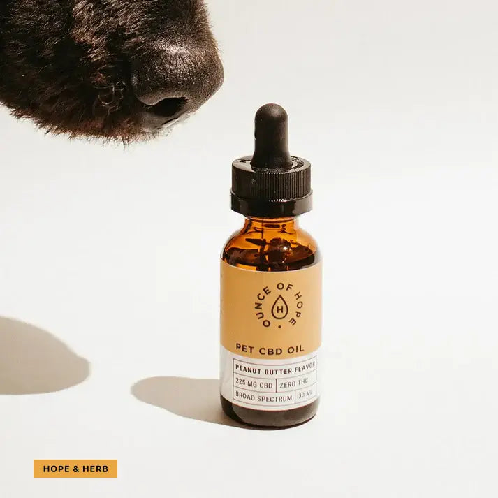 Broad-Spectrum Peanut Butter CBD Oil for Pets_hopeandherbs