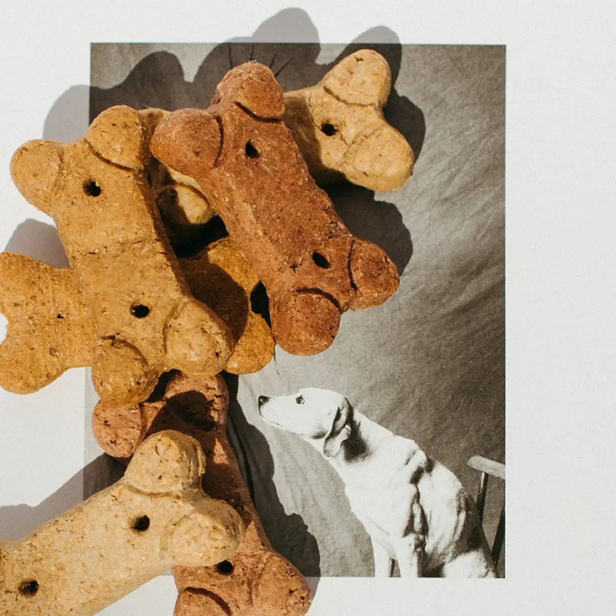 35mg CBD Dog Bones - CBD For Pets | Hope and Herbs