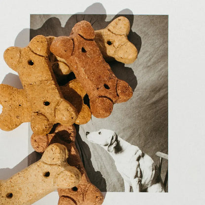 35mg CBD Dog Bones - CBD For Pets | Hope and Herbs