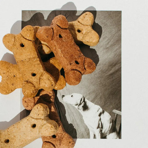 35mg CBD Dog Bones - CBD For Pets | Hope and Herbs