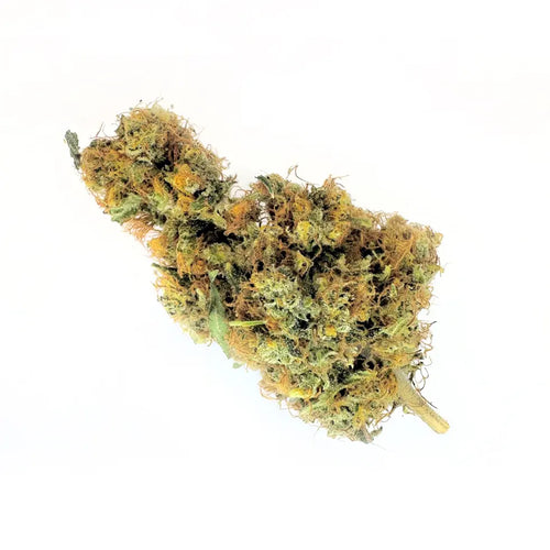 CBD Aquaponic Cakeberry Brûlée Flower | Hope and Herbs