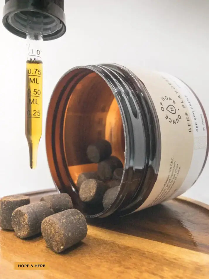 CBD Dog chews_hopeandherbs