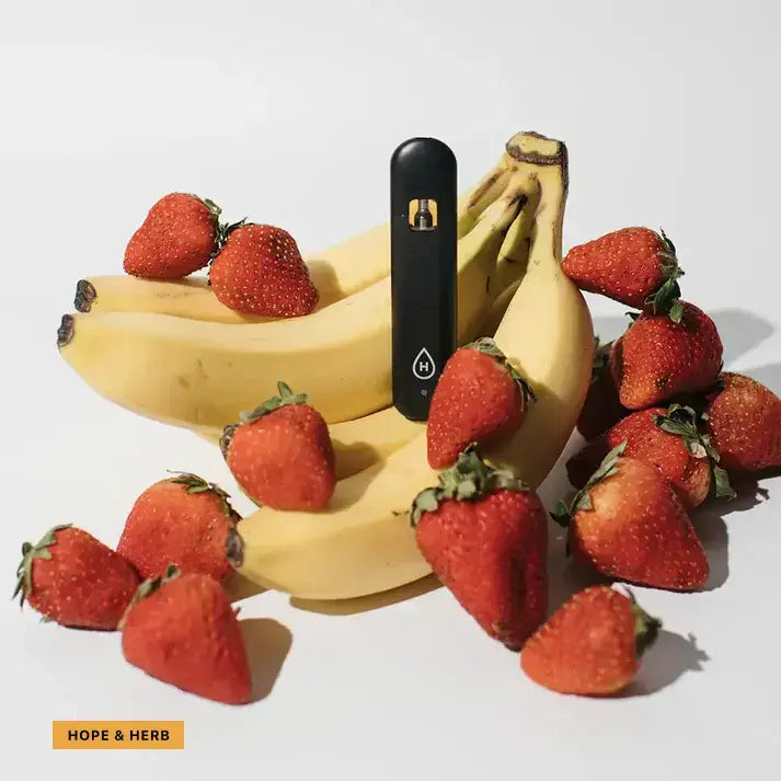 CBD Strawnana Disposable Vape Pen_hope and herbs
