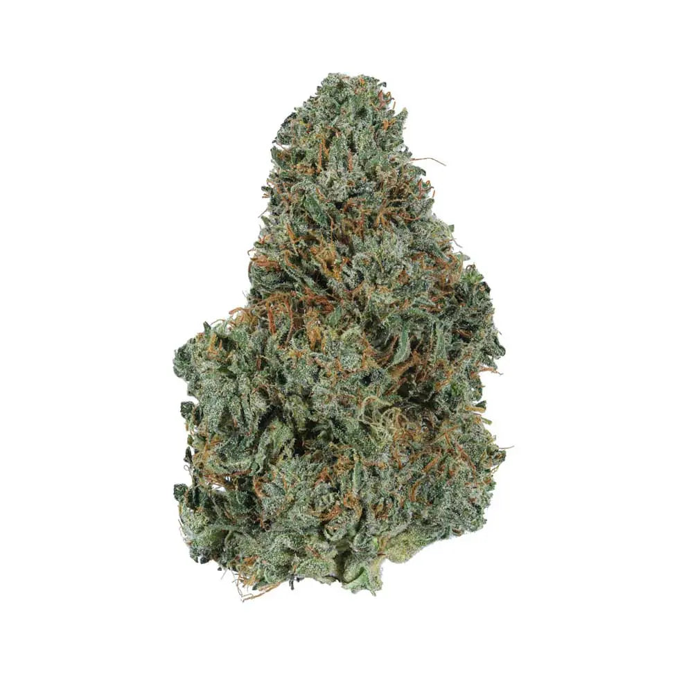 Cereal Milk Strain, 28.1% THCa Flower_hope and herbs