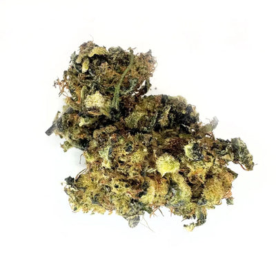 Delta 8 Aquaponic Cakeberry Brûlée Flower | Hope and Herbs