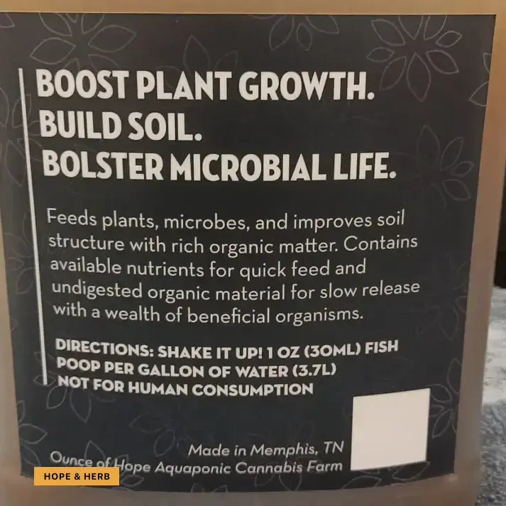 Fishoop_hopeandherbs