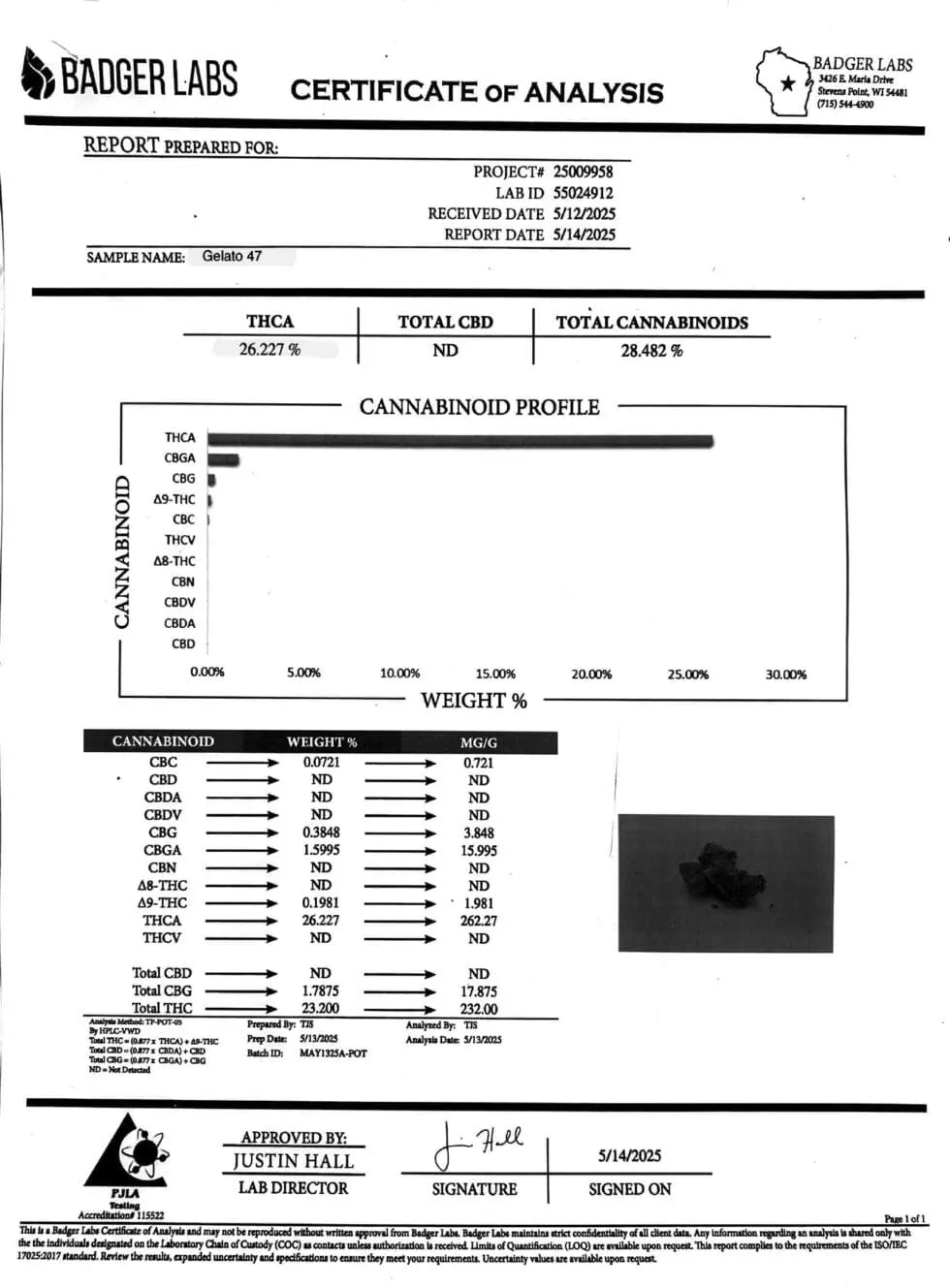 Gelato 41 Strain, 28.2% THCa Flower_hope and herbs