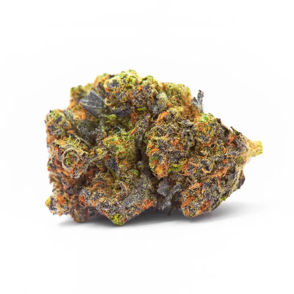 Gelato 41 Strain, 28.2% THCa Flower_hope and herbs