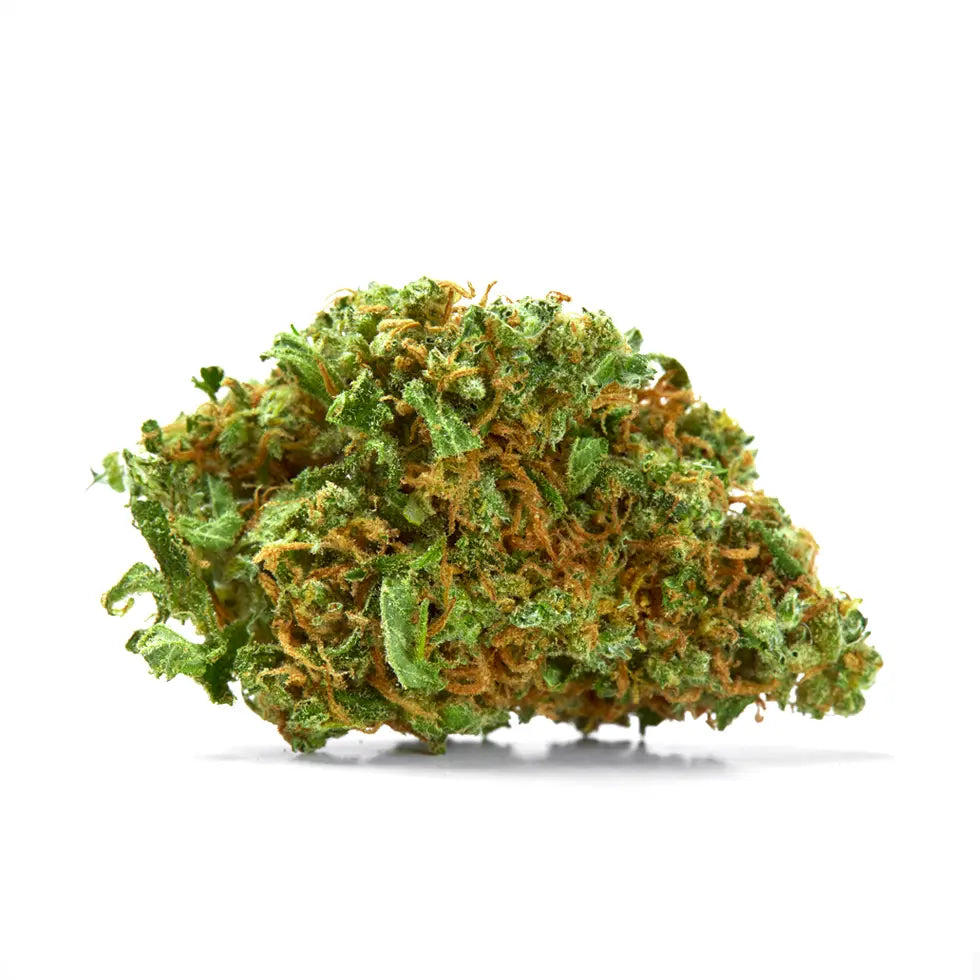 Lemon Cherry Gelato Strain, 28.0% THCa Flower_hope and herbs