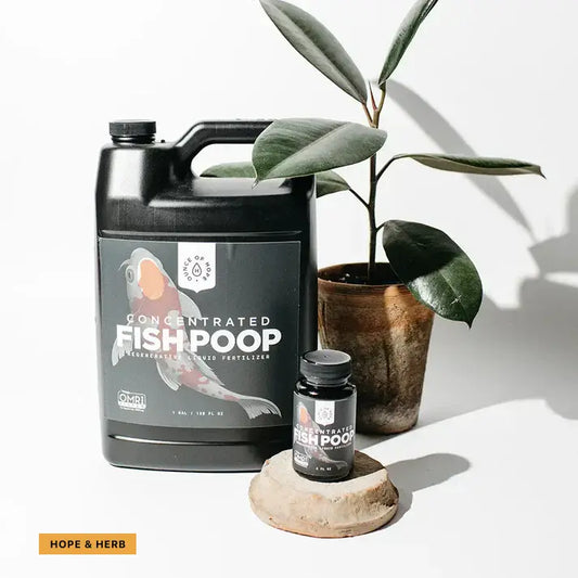 Expensive Fish Poop Enrich Your Soil with Hope and Herbs Fish Poop Fertilizer