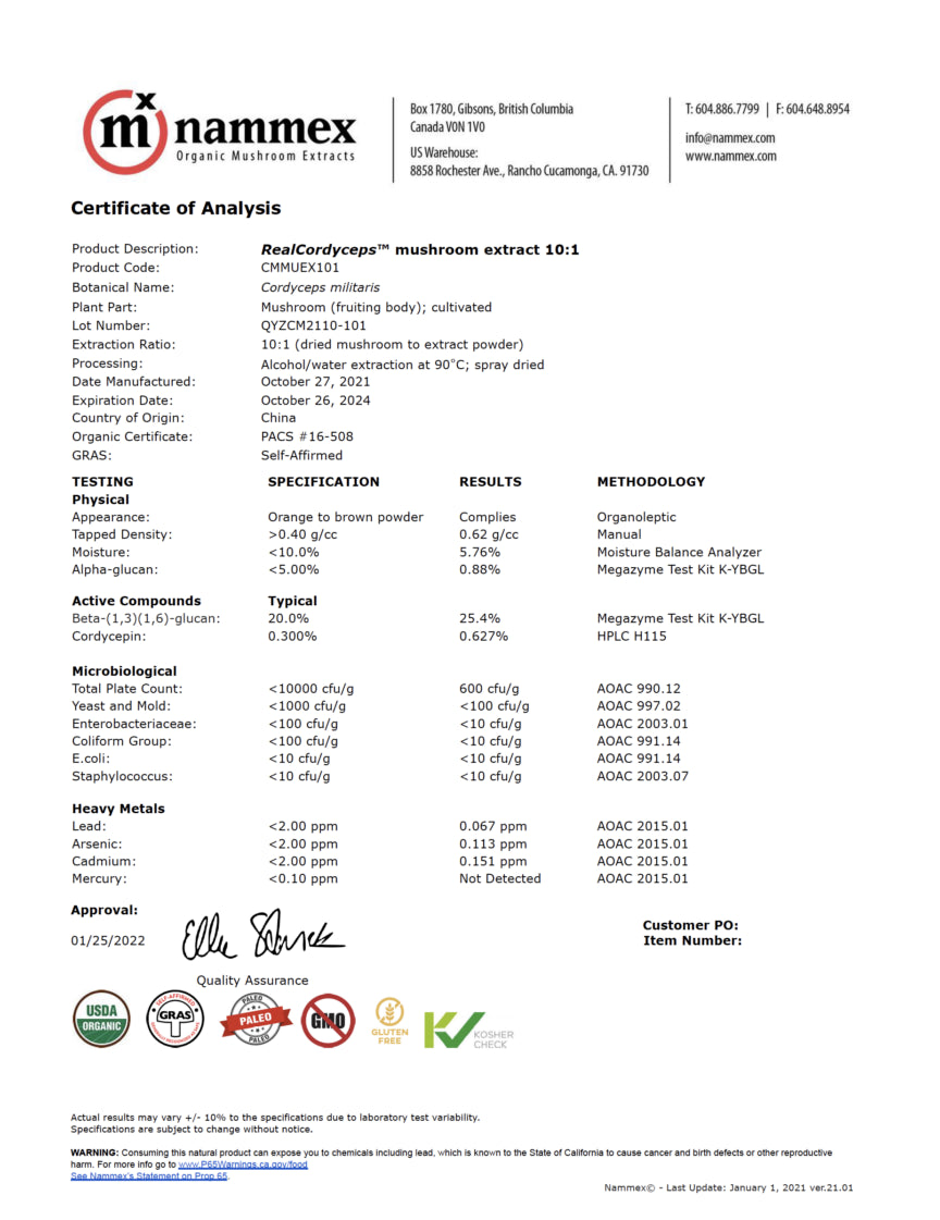Odyssey Sparkling Mushroom Elixir - Beverages_hope and herbs