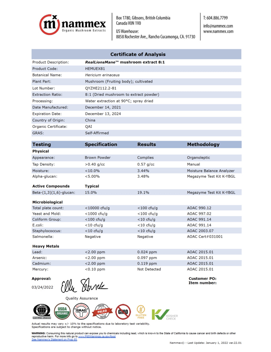 Odyssey Sparkling Mushroom Elixir - Beverages_hope and herbs