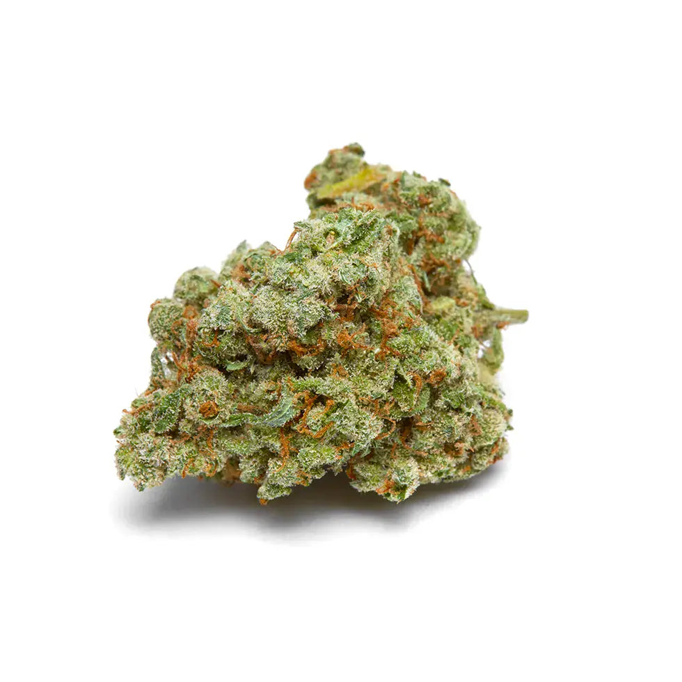 Sub Zero Strain, 26.5% THCa Flower_hope and herbs