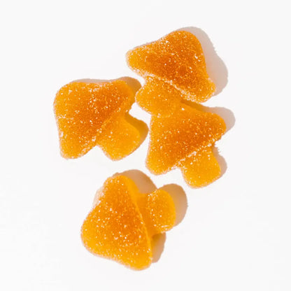 Vitality Mushroom Gummies_hope and herbs
