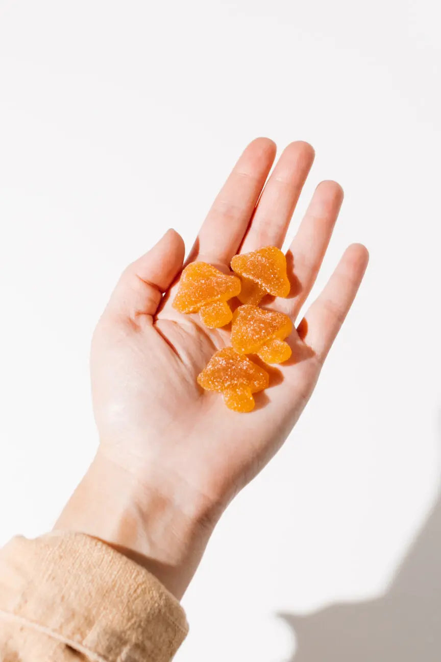 Vitality Mushroom Gummies_hope and herbs